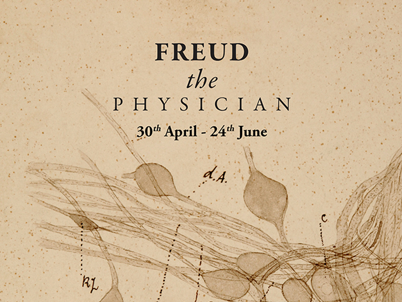 exhibition graphic detailing exhibition title, dates of exhibition and a pencil sketch of part of a medical diagram