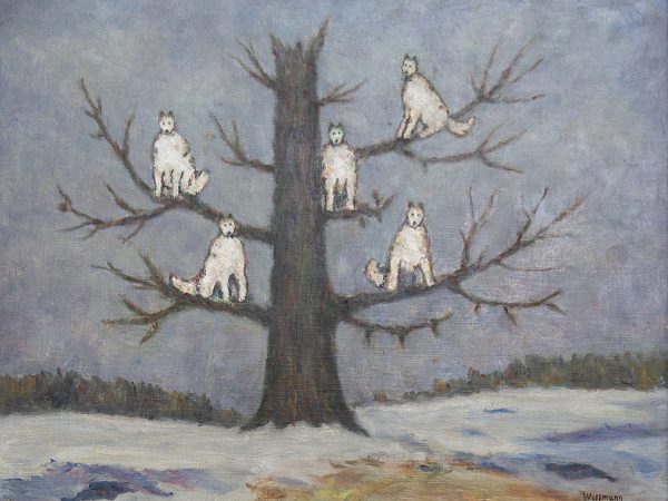 The Wolf Man's Dream by Sergei Pankejeff