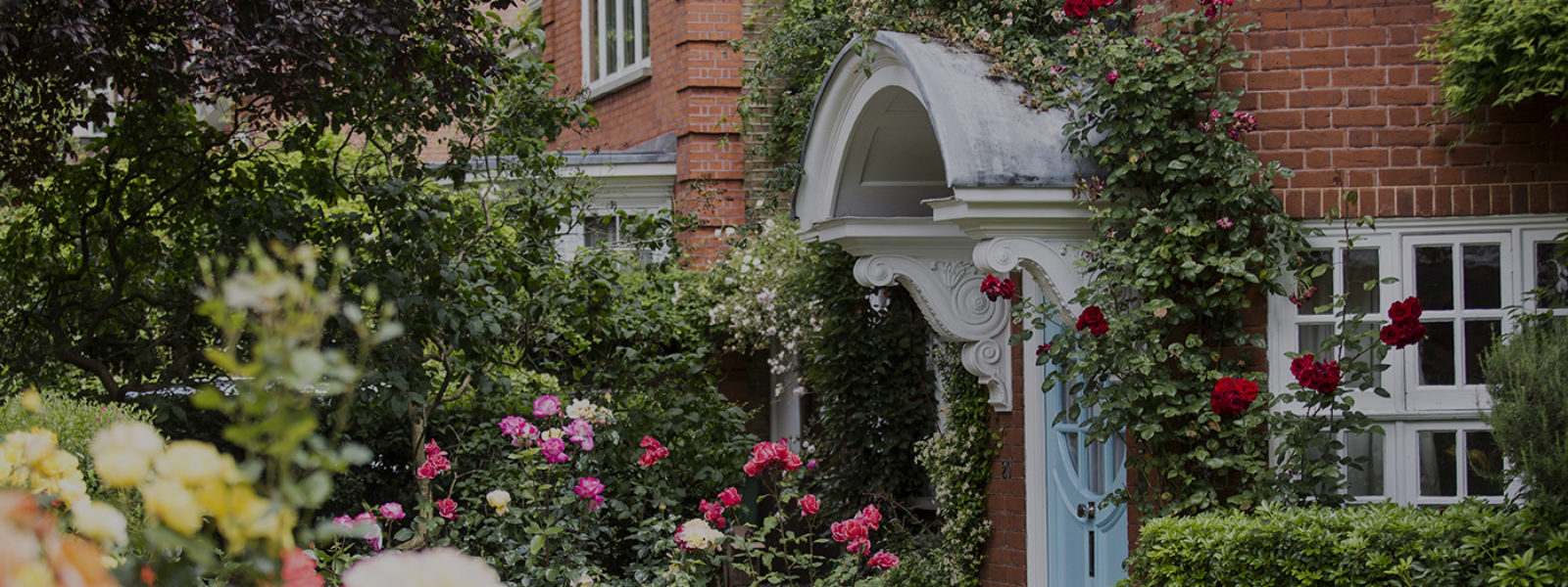 Front garden of the Freud Museum, with roses in bloom