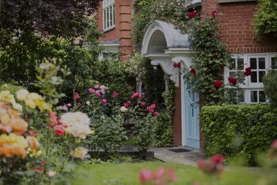Front garden of the Freud Museum, with roses in bloom