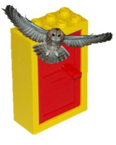 An owl and a lego door