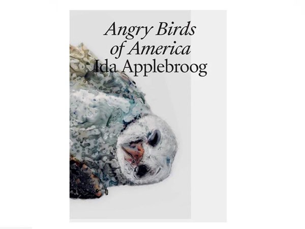 Ida Applebroog Angry Birds of America