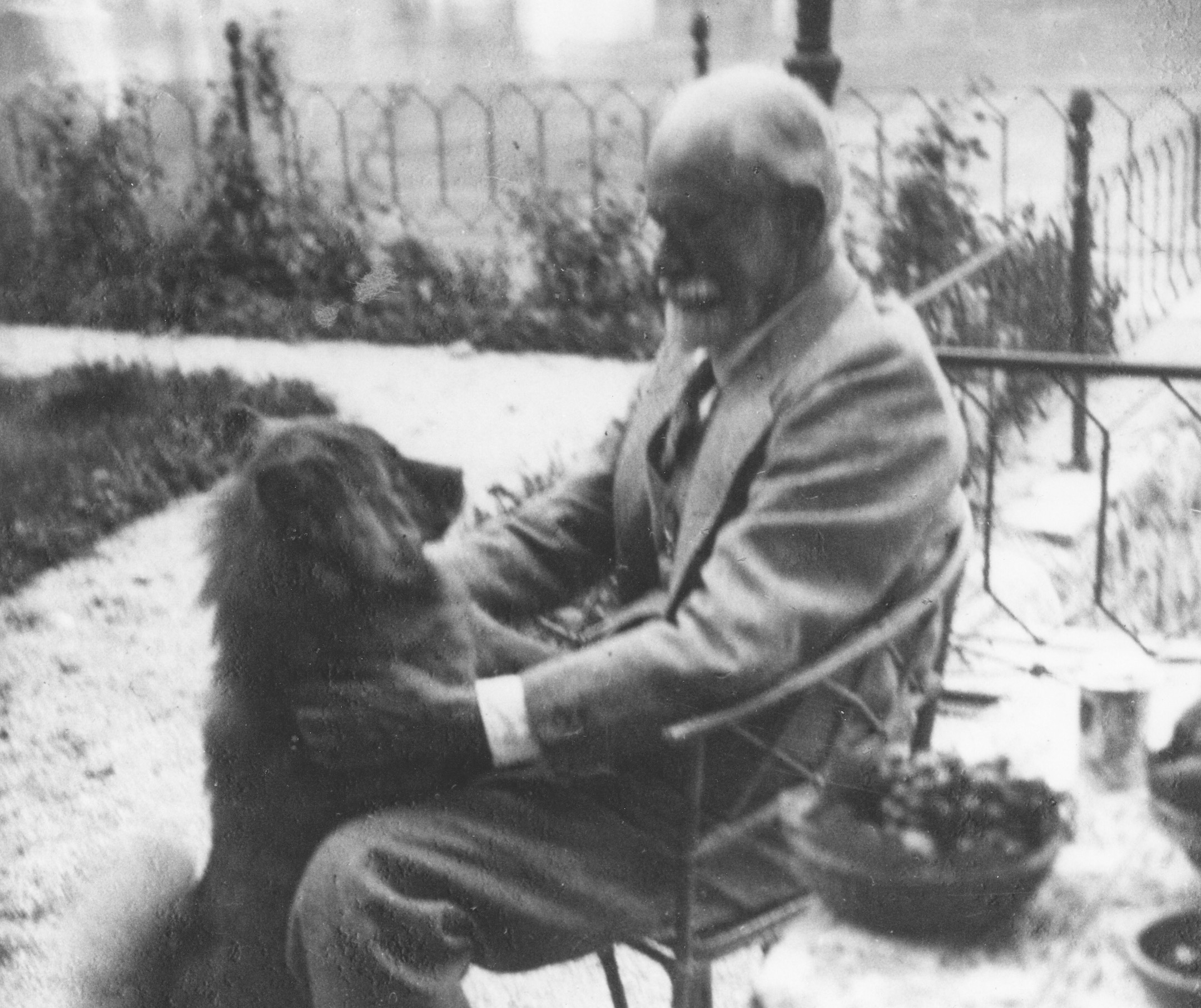 Freud at with his Dogs - Freud Museum London