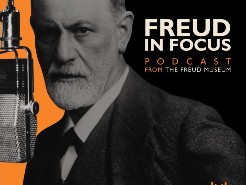 Freud In Focus