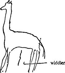 Drawing of a giraffe made by Little Hans's father who reports that Hans has asked to draw it with a widdler.